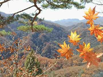 黑山县民政局最新动态报道