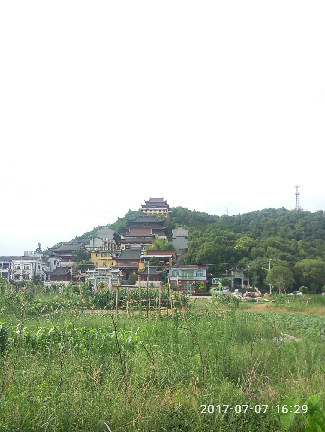 院桥镇天气预报更新通知