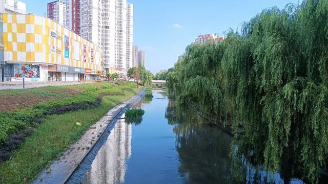 铁路东村街道天气预报最新详解