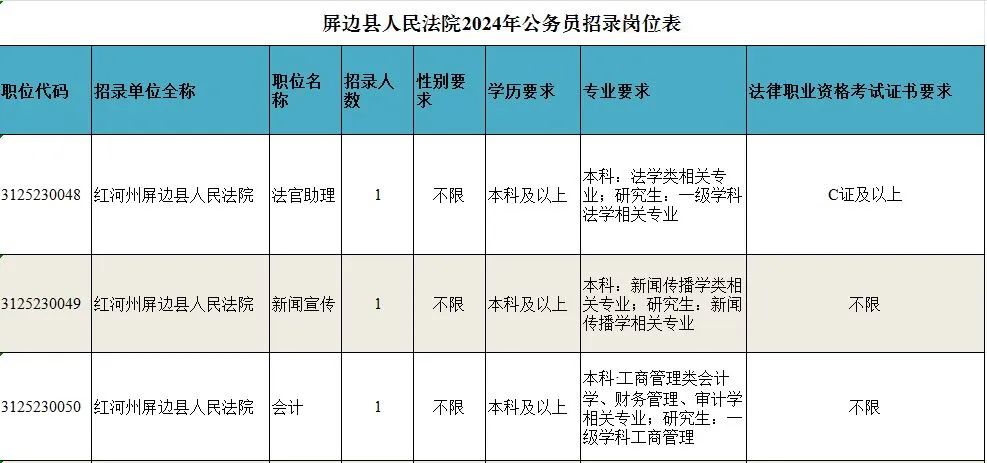 那曲县数据和政务服务局招聘公告全解析