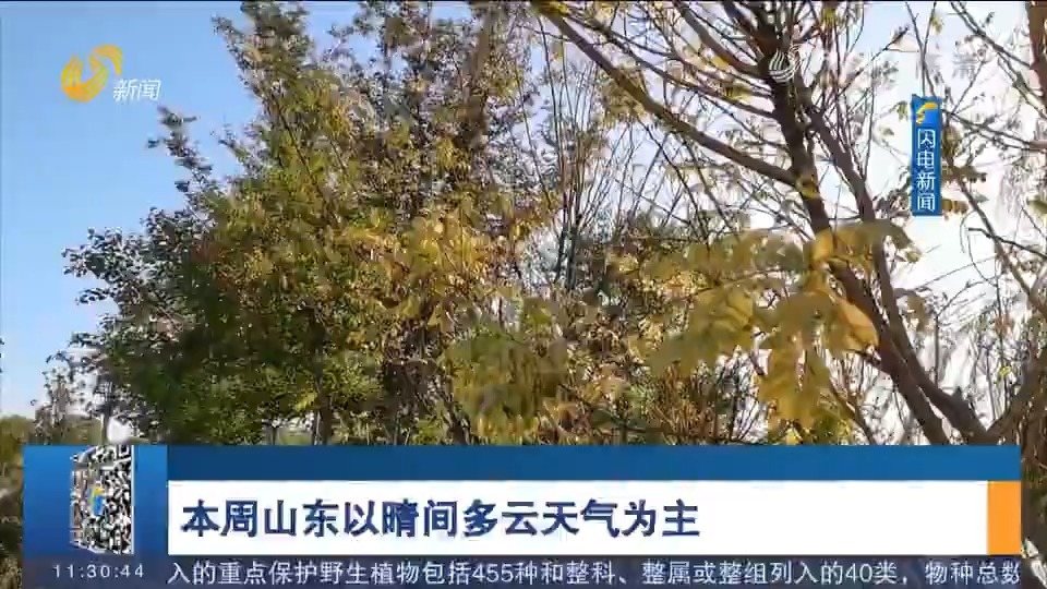 大坑苗圃场天气预报更新