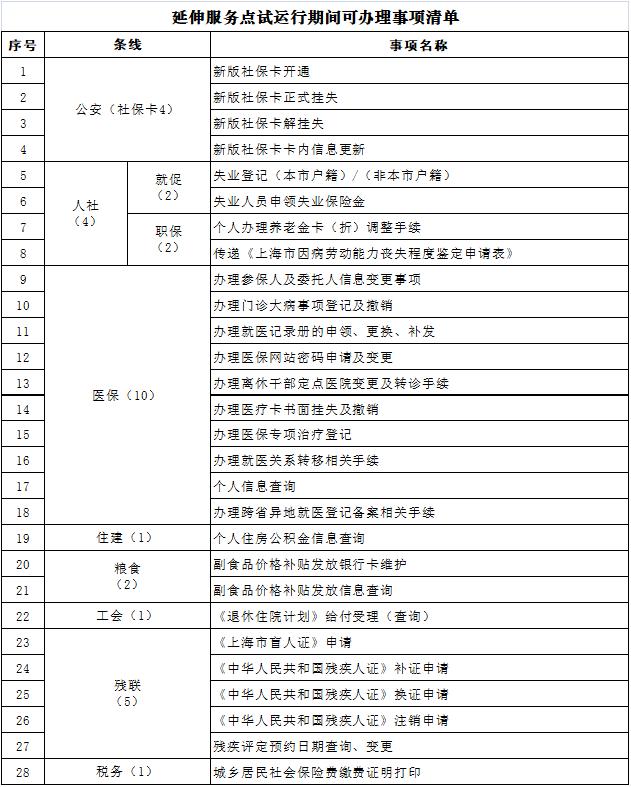 大宁县数据和政务服务局最新项目概览与动态