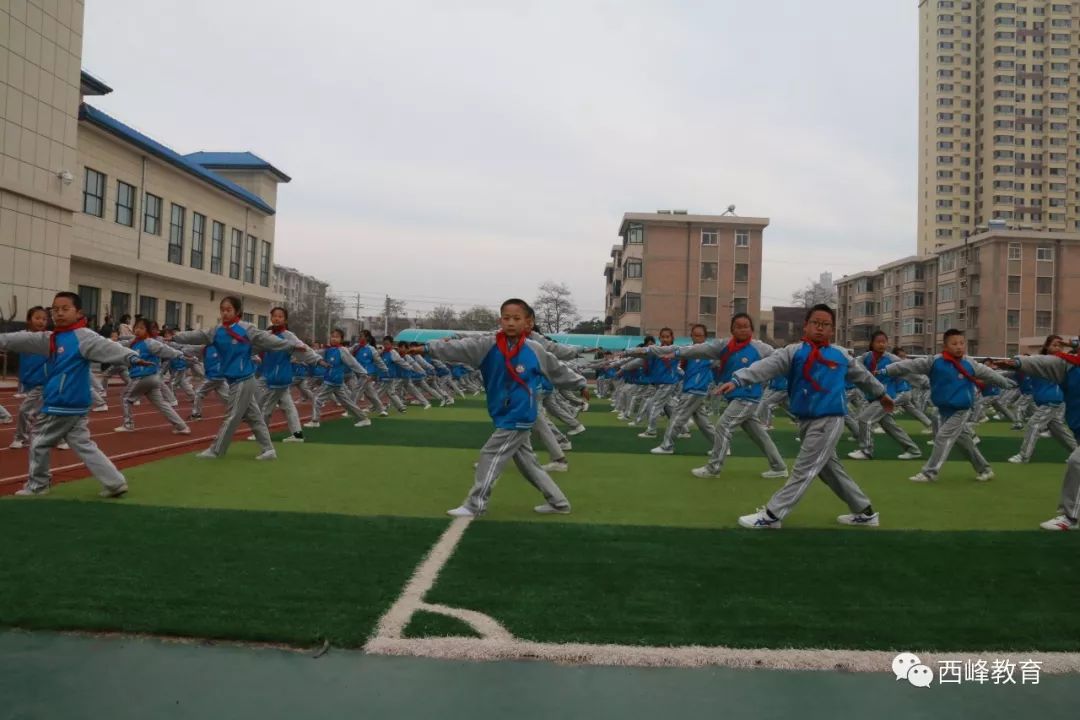 西峰区小学创新项目，引领教育变革，培育未来之星领袖