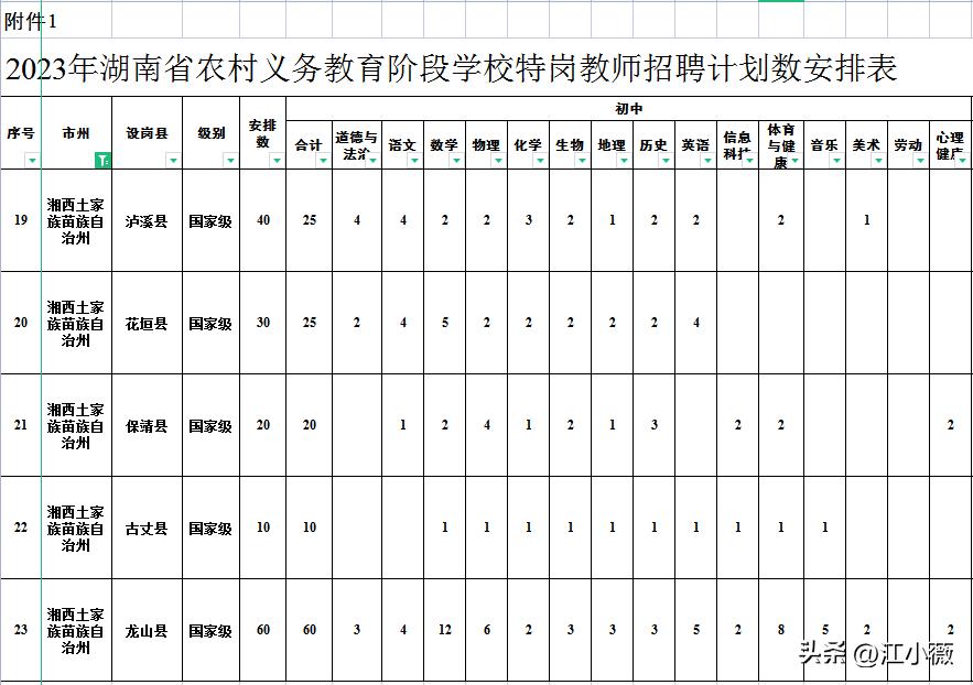 古丈县小学最新招聘启事概览