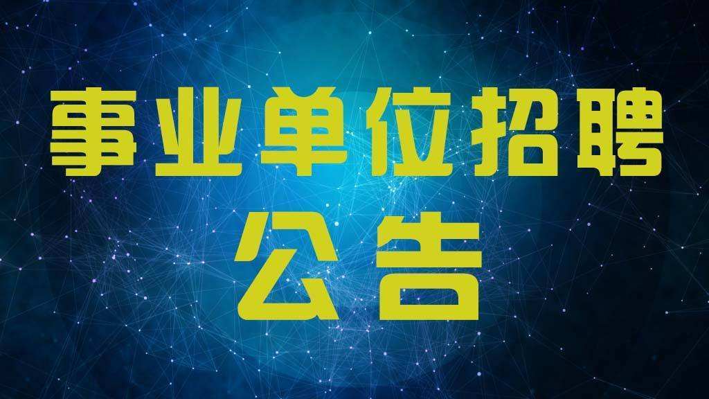 襄城区财政局最新招聘启事概览