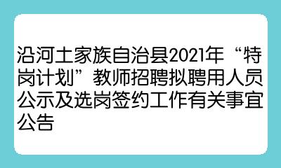 沿河土家族自治县数据和政务服务局招聘公告详解