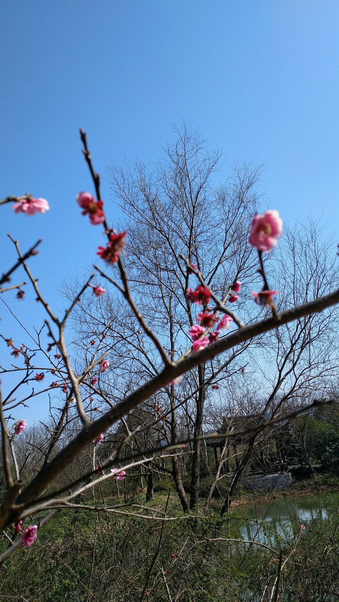 崇义社区天气预报更新通知