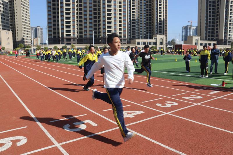 茶陵县初中领导团队，引领担当，共筑未来教育之路