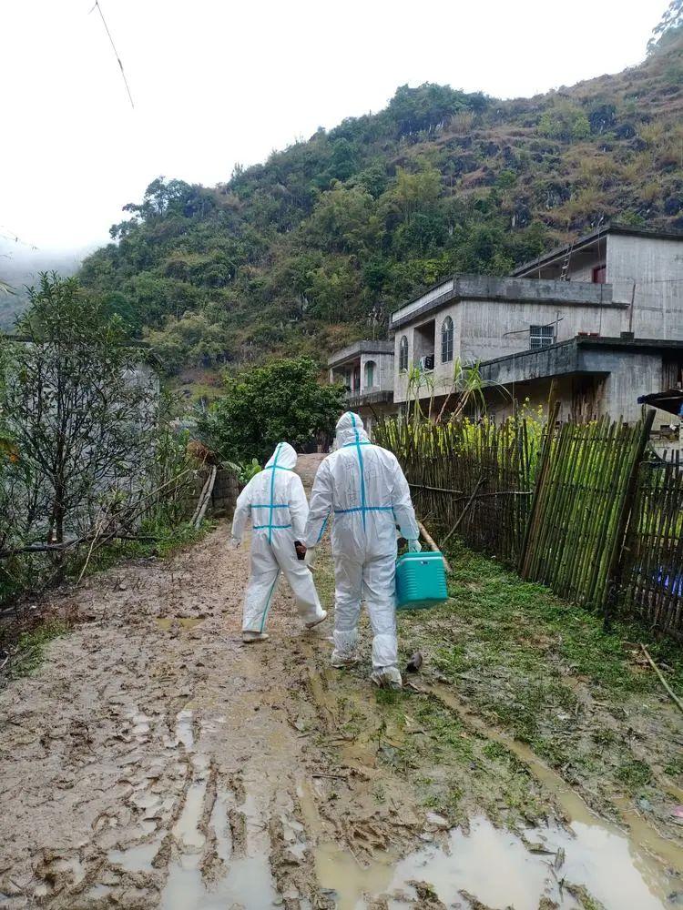 富川瑶族自治县医疗保障局最新动态深度解析