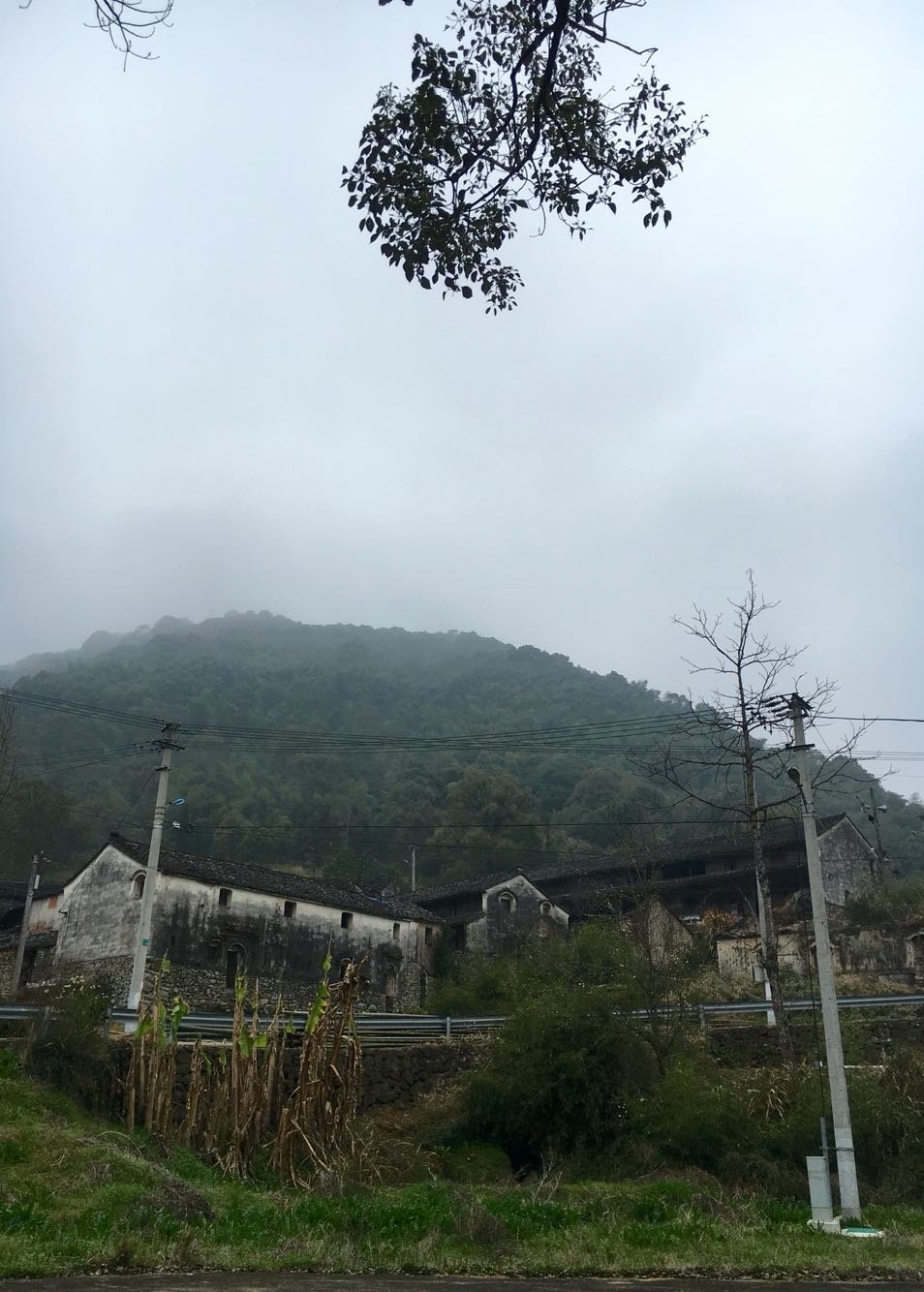 英川镇天气预报更新通知