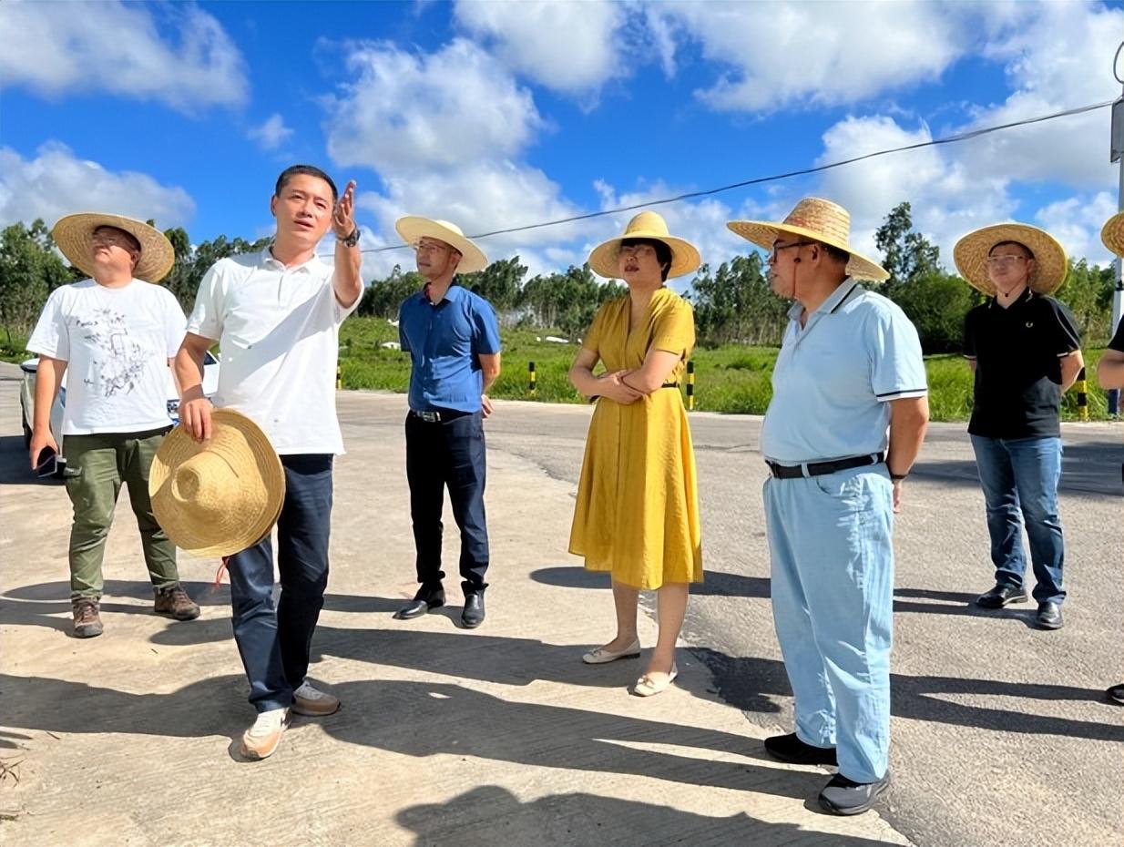 马路村委会天气预报及影响解析