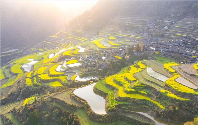 炎陵县大院农场天气预报更新通知