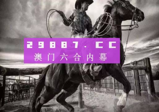 澳门跑狗,实效设计策略_pack13.43