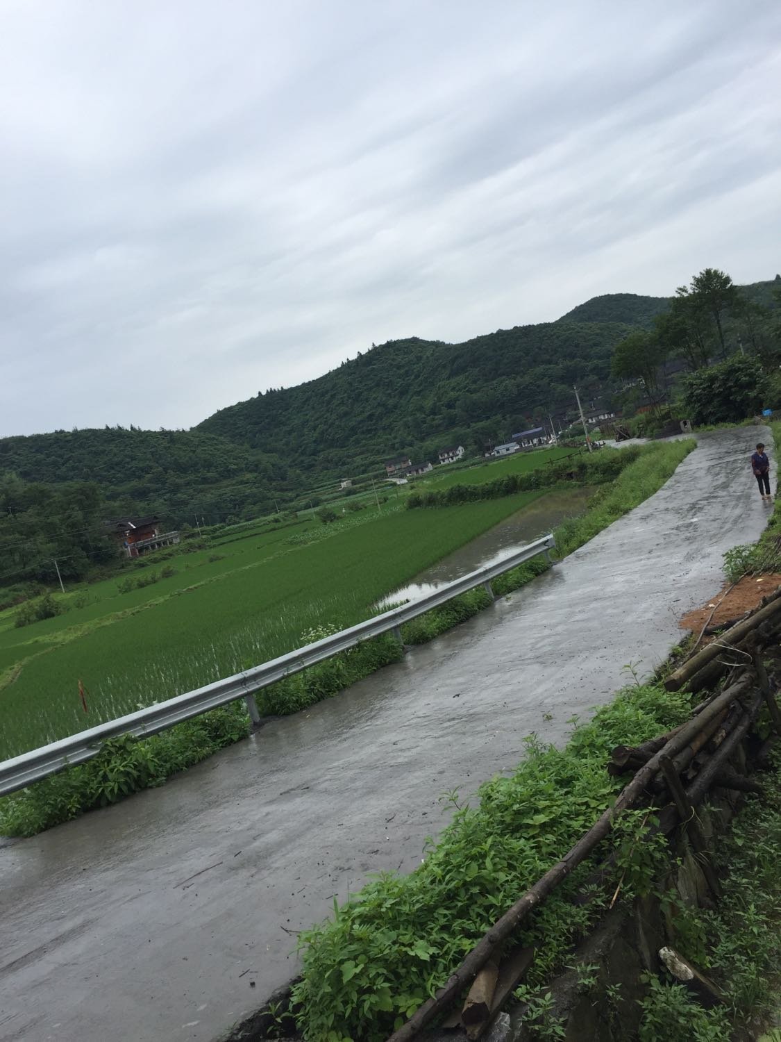 乍岭村委会天气预报更新通知