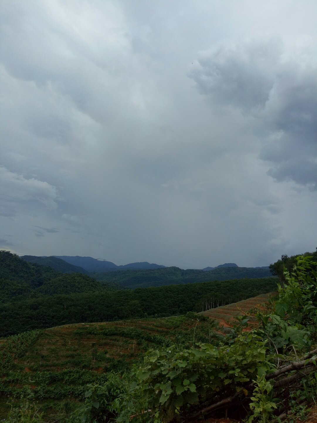 续迈乡天气预报更新通知