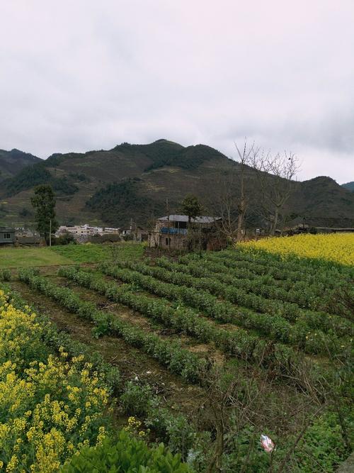 瓢里镇天气预报更新