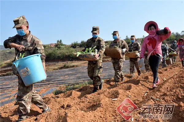 马龙县应急管理局最新发展规划概览