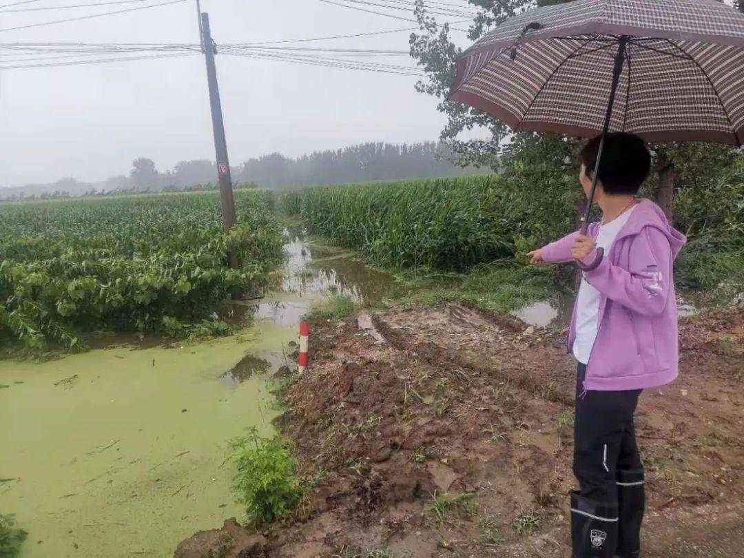 鲁桥镇天气预报更新通知