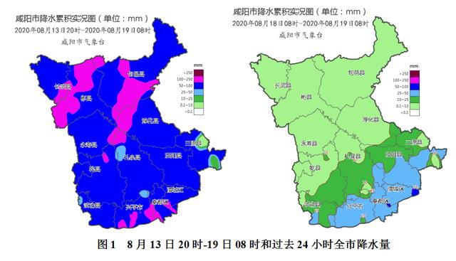 泰来镇最新天气预报概览