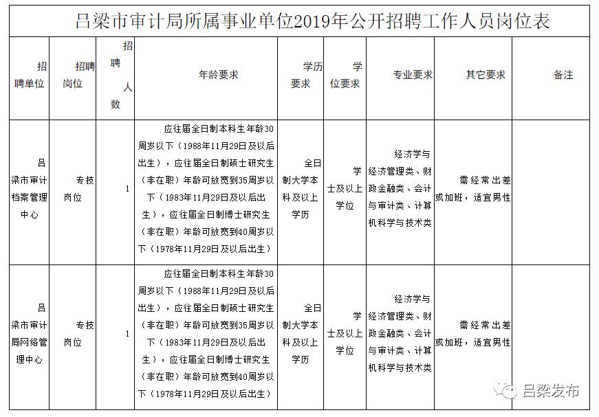 应城市审计局最新招聘启事概览