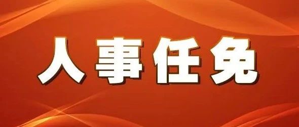 藤县小学人事任命揭晓，引领未来教育新篇章启航