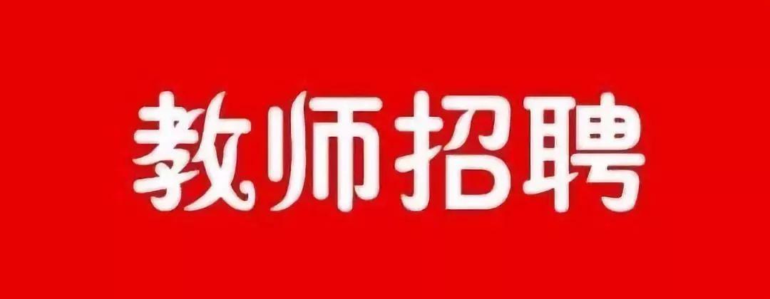 凤县财政局最新领导团队，引领财政事业迈向新高度