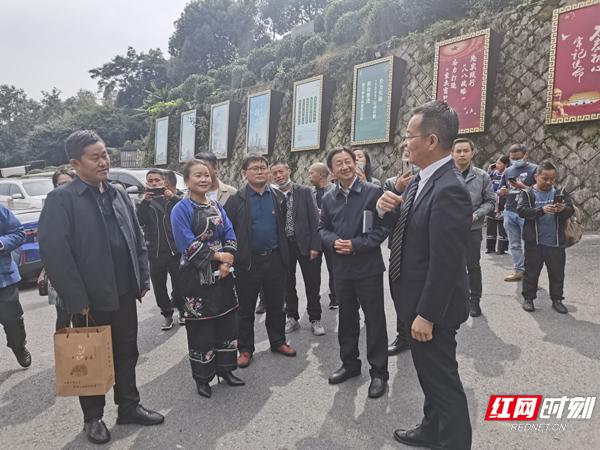 保靖县文化局最新项目，繁荣文化事业，推动县域文化发展