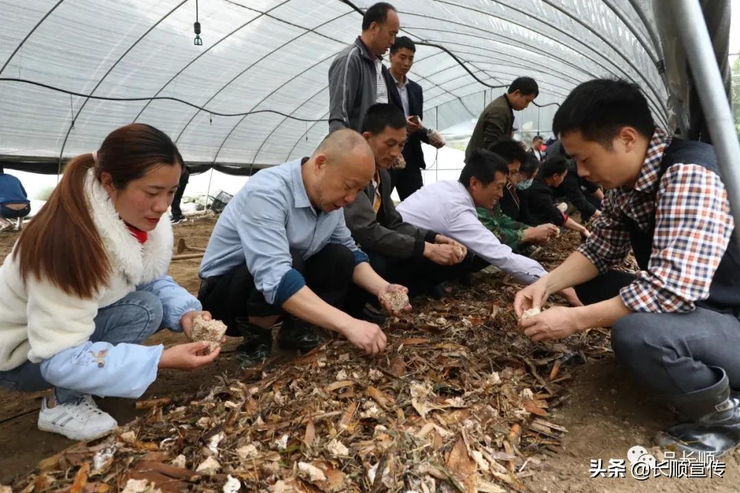 长顺县科技局招聘信息及多岗位招聘公告发布