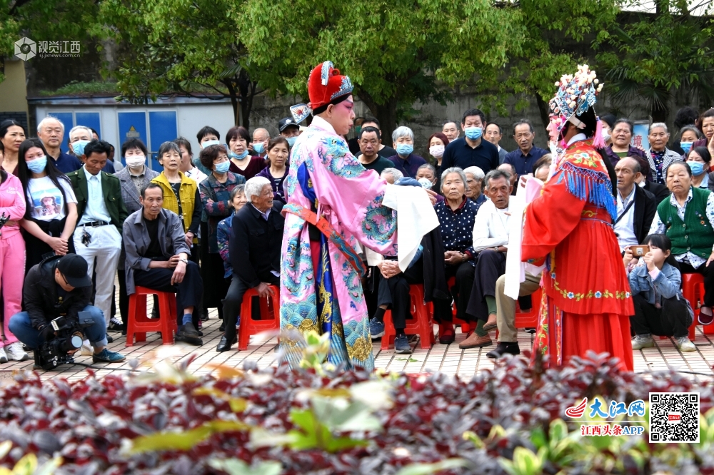 鄱阳县剧团新项目，传统与现代融合的艺术探索之旅