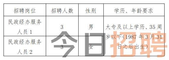 安陆市民政局最新招聘信息全面解析