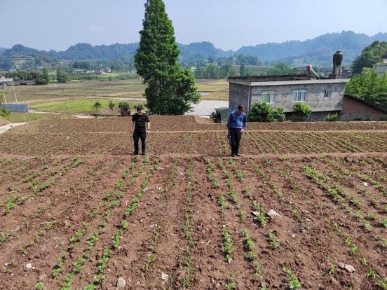 天峻县农业农村局新项目推动农业现代化，乡村振兴再添新动力