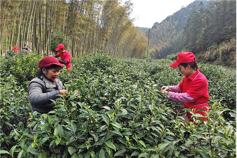 鹤城区初中最新项目，重塑教育未来