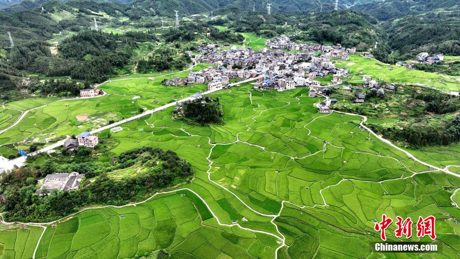 黑里寨镇天气预报更新通知