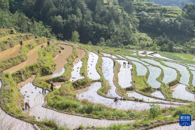 石柱土家族自治县农业农村局新项目推动农业现代化助力乡村振兴