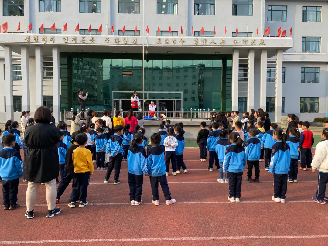 青冈县小学发展规划概览，未来教育新蓝图