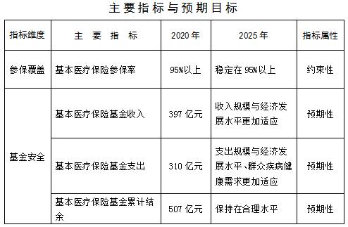 靖州苗族侗族自治县医疗保障局最新发展规划概览