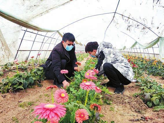 泌阳县防疫检疫站新任领导团队引领防疫新篇章启航