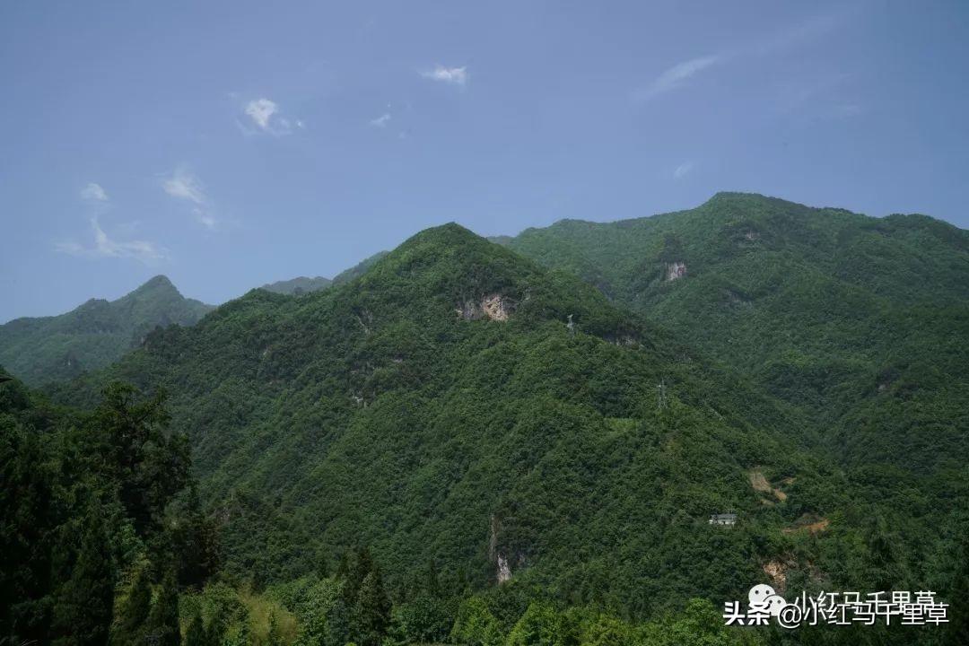 高山村村委会天气预报更新通知