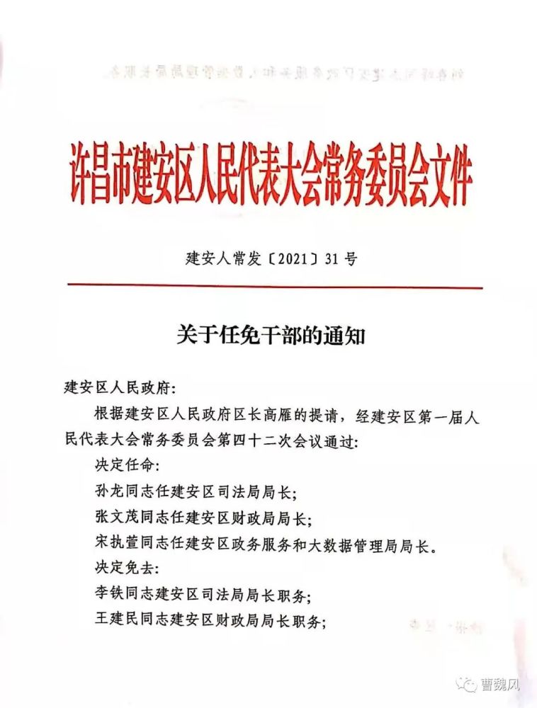 铁厂区数据发展动态及政务服务局人事任命更新